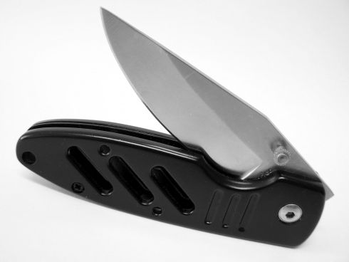 Japonijoje įvykdyta mirties bausmė žudikui kanibalui